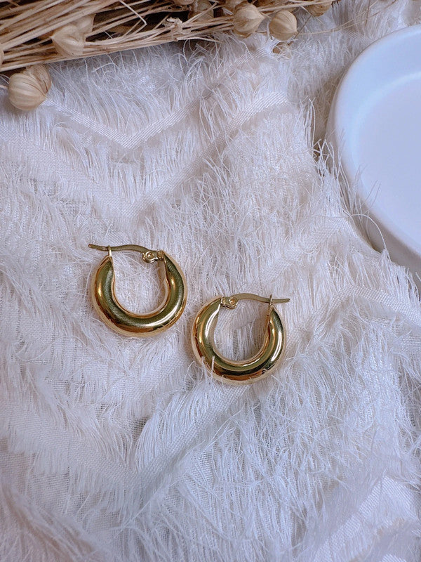 Soul Mate & 18k gold plated stainless steel earrings