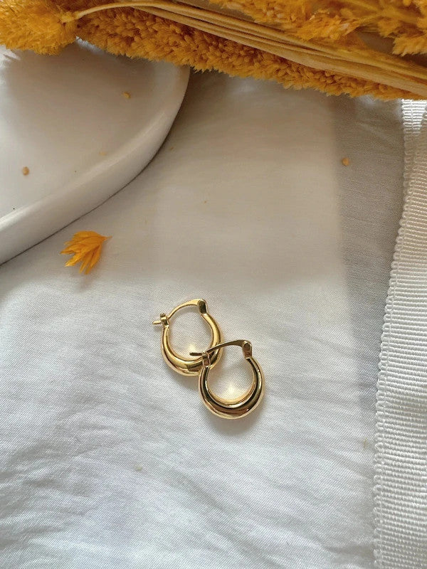 Soul Mate 17 & 24k Gold Plated Earrings