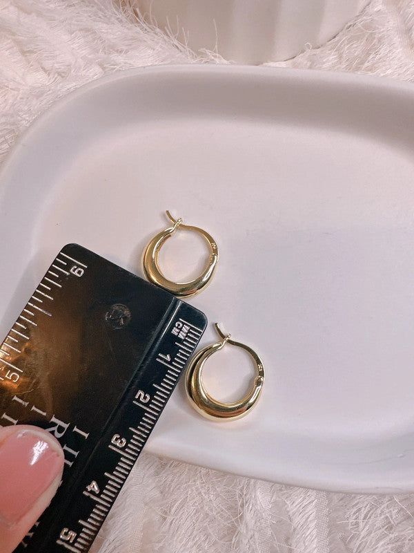 Soul Mate & 925 Silver post hoop earrings