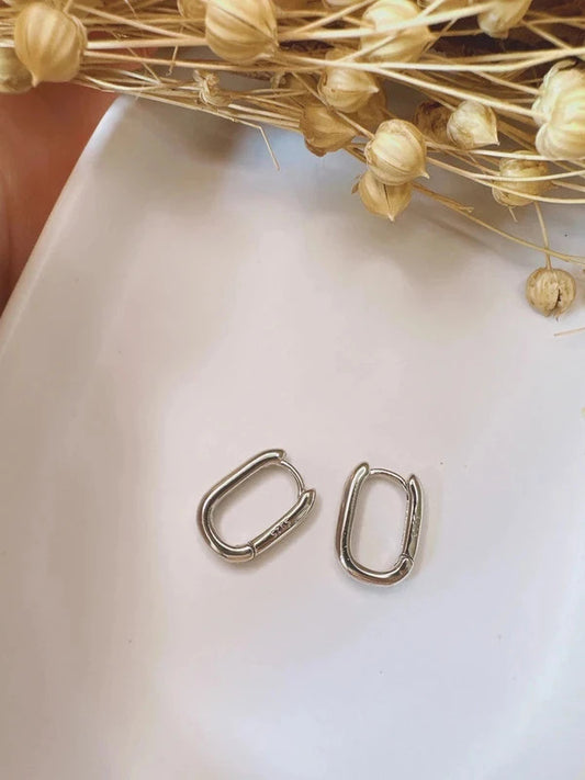 Soul Mate mini hoop & 925 Silver post mini earrings