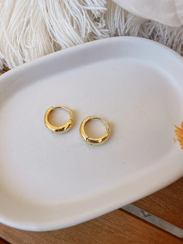 Soul Mate & Stainless steel mini hoop earrings