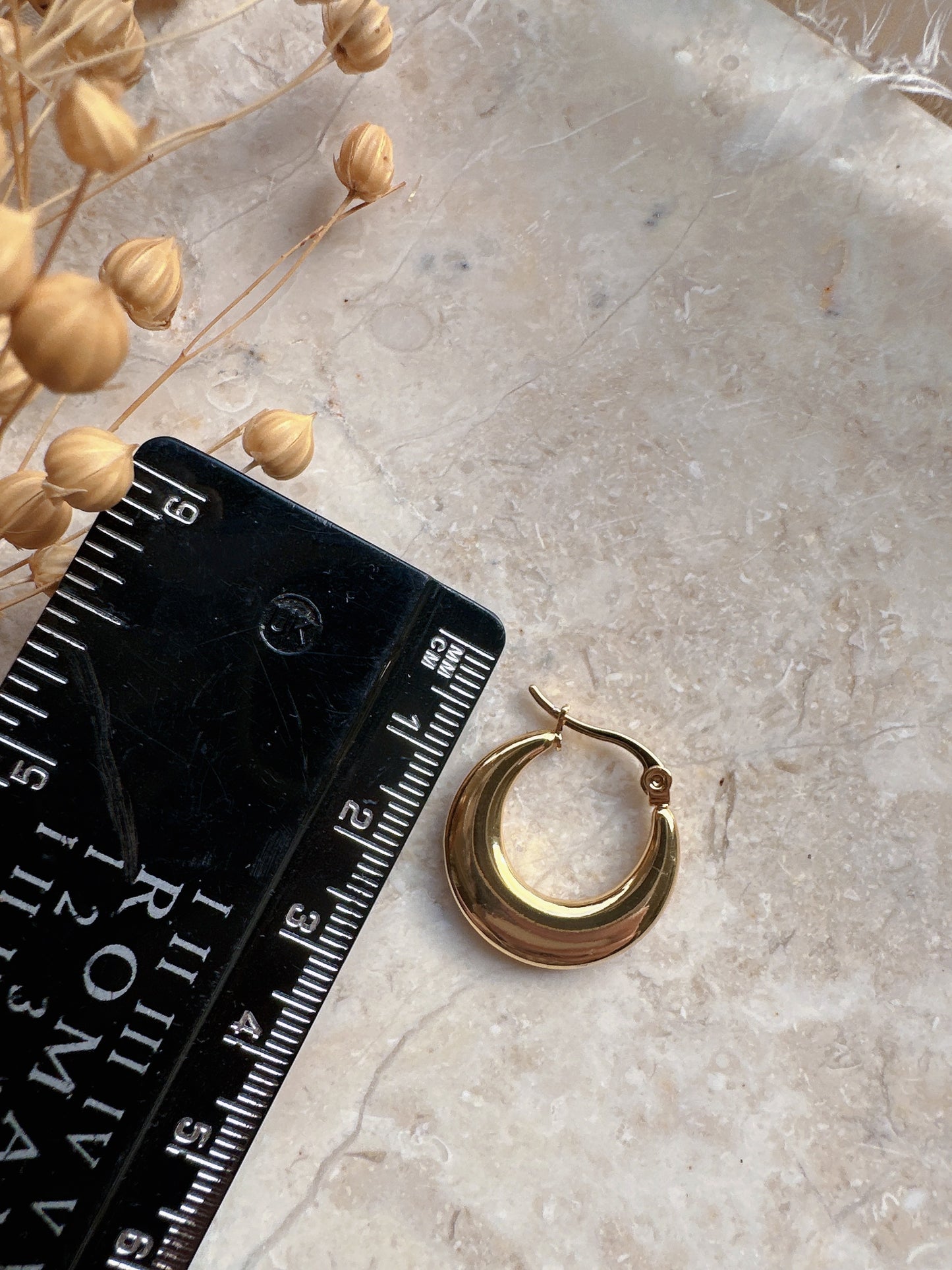 Soul Mate D & 18K Gold Plated Earrings