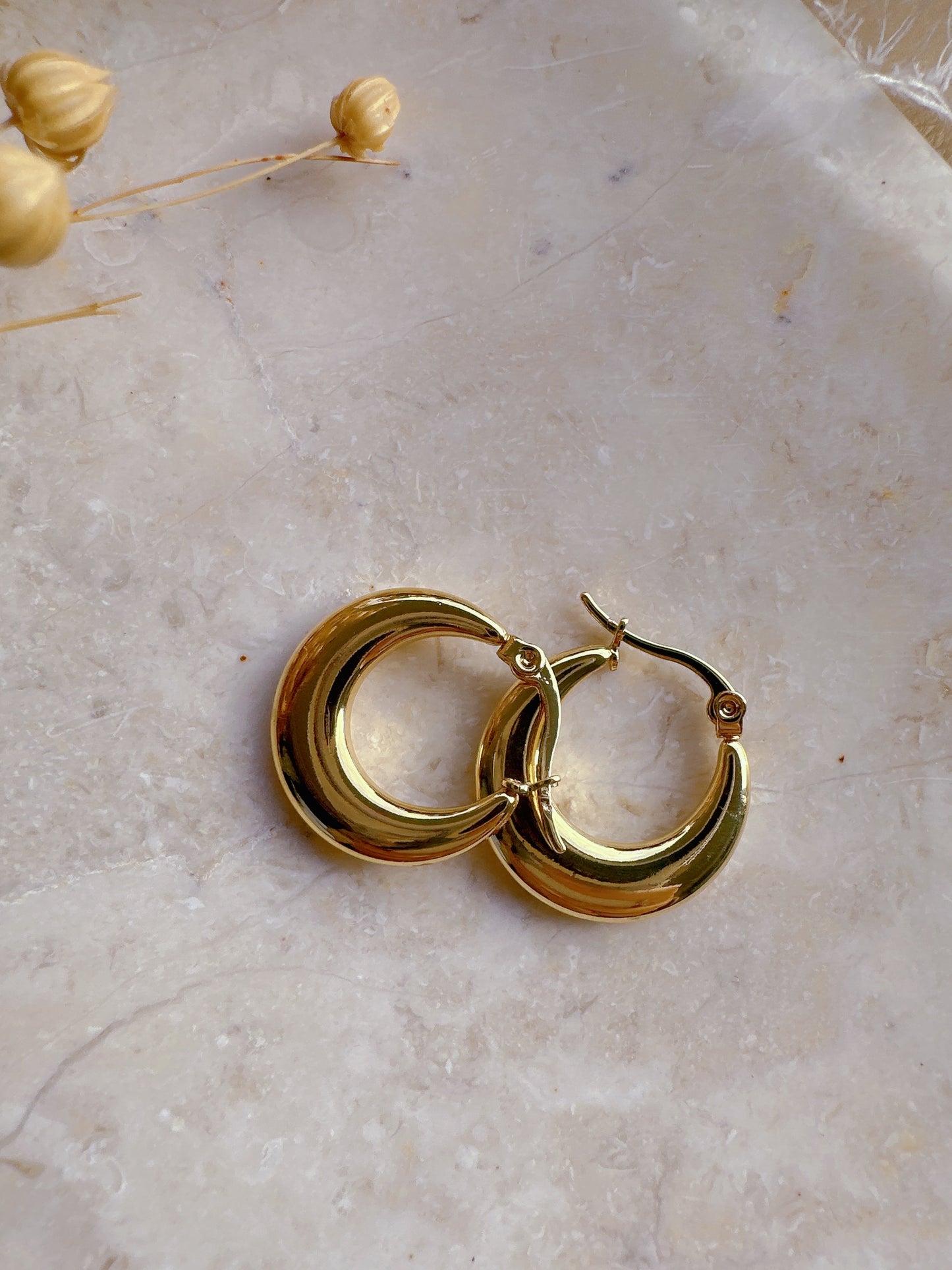 Soul Mate D & 18K Gold Plated Earrings