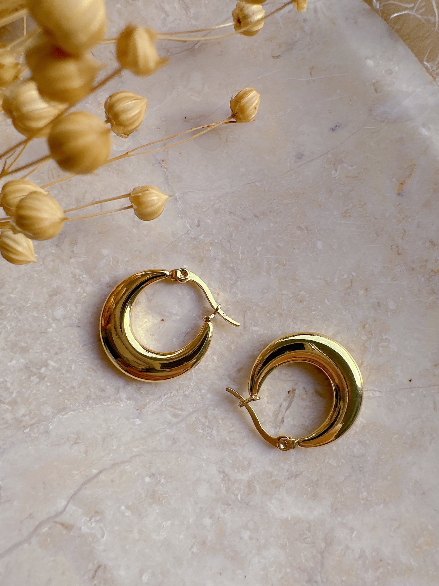 Soul Mate D & 18K Gold Plated Earrings