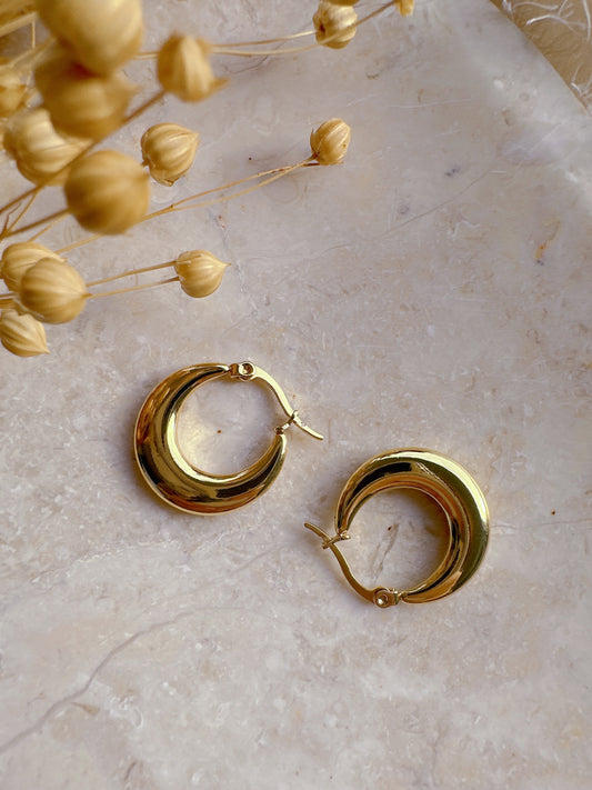 Soul Mate D & 18K Gold Plated Earrings
